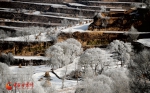 甘肃雪景有多美  这组图片告诉你（组图） - 中国甘肃网