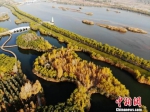甘肃张掖市高台县戈壁上的黑河湿地。(资料图) 杨艳敏 摄 - 甘肃新闻