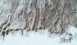 【飞阅甘肃】山丹马场：春雪滋润万里草场 - 中国甘肃网