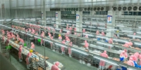 甘肃禽肉生产企业首次获俄罗斯官方注册资格 - 甘肃新闻