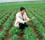 【瞭望】陈垣：我就是个有知识的农民 - 甘肃农业大学