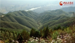 60万亩绿地镇南守北 兰州南北两山生态稳步向好（组图） - 中国甘肃网