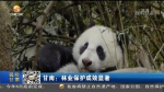 甘南：林业保护成效显著 - 甘肃省广播电影电视