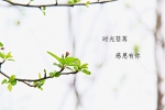 春风十里，致最美的你（图） - 中国甘肃网
