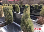 兰州建公益墓地免费安葬遗体器官捐赠者等群体 - 甘肃新闻