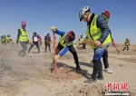 全国15个志愿者团队民勤“绿色接力”十三载改善生态 - 甘肃新闻