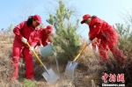 4月1日，长庆油田采油二厂在甘肃庆城县马岭镇启动“马岭碳汇林”建设义务植树活动。　　李忠斌 摄 - 甘肃新闻