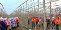 4月4日，宁县焦村海升模式现代农业高科技示范园技术人员正在培训春季果园管理技术。（李纲陵 摄） - 人民网