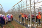 4月4日，宁县焦村海升模式现代农业高科技示范园技术人员正在培训春季果园管理技术。（李纲陵 摄） - 人民网