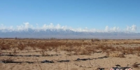 目前临泽县已建成防风固沙林27.4万亩，阻沙林带189公里。　赵学荣 摄 - 甘肃新闻