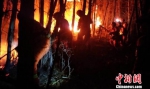 图为夜间救火现场。　甘肃森林消防总队供图 - 甘肃新闻