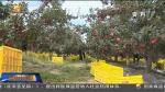 陇原披新绿  造林美家园 - 甘肃省广播电影电视
