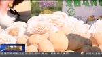 定西：“土豆”变“金豆” 马铃薯产业高质量发展 - 甘肃省广播电影电视