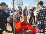 图为大学生志愿者开展义务植树。　杨娜 摄 - 甘肃新闻