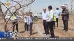甘肃省风雹灾害地区农业保险业务有序开展 - 甘肃省广播电影电视