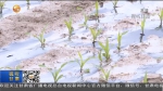 今日立夏 甘肃省部分地区降雨 ​ - 甘肃省广播电影电视