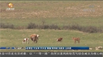 天水：乡村旅游开辟脱贫致富新路子 - 甘肃省广播电影电视