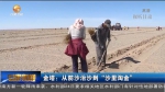 金塔：从防沙治沙到“沙里淘金” - 甘肃省广播电影电视