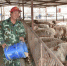 瓜州养殖产业扶贫：村民从“熬日子”到“新生活” - 甘肃新闻