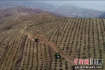 图为航拍渭源县的大山。(资料图) 王纲 摄 - 甘肃新闻