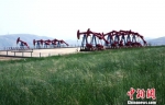 长庆油田坚持建一个井站留一片绿。(资料图) 钟欣 摄 - 甘肃新闻