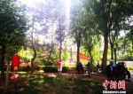 图为甘肃省首家“公建民营”智慧养老示范基地，院内绿树掩映，老人们坐在树下乘凉。　史静静 摄 - 甘肃新闻