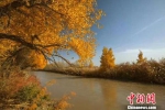 资料图：疏勒河流域景色。疏勒河流域水资源局供图 - 甘肃新闻