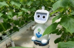 迈向“无人农场”——福建发布人工智能农业机器人 - 中国甘肃网