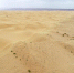 （环境）（1）宁夏中卫：草方格扎出的沙漠绿意 - 人民网