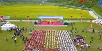 临夏和政：16万亩油菜花绽放 美了乡村富了乡民 - 中国甘肃网