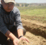 图为王玲崇捧起一撮沙土分析当地的土质条件。　魏建军 摄 - 甘肃新闻