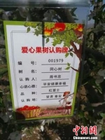 图为：爱心果树认购牌。台州市社联会供图 - 甘肃新闻