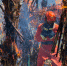 森林消防员穿过熊熊烈火燃烧的火林。（张小军 摄） - 人民网