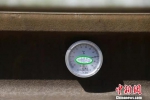 测量钢轨的温度计显示钢轨温度达到了52度。　王光辉 摄 - 甘肃新闻