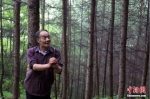 田永平站在自己所造林地中回忆过去的32年。冉创昌 摄 - 甘肃新闻