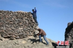 图为张斌和同事在山顶上做烽火台现状测量。受访者供图 - 甘肃新闻