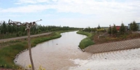 临泽县14万亩公益林生态供水项目每年可为公益林提供生态用水1870万立方米。　史帅 摄 - 甘肃新闻