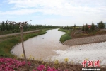 临泽县14万亩公益林生态供水项目每年可为公益林提供生态用水1870万立方米。　史帅 摄 - 甘肃新闻