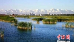图为甘肃境内的水生态环境。(资料图)甘肃省生态环境厅供图 - 甘肃新闻
