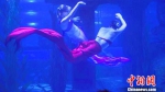 欧洲昔日游泳女将化身“美人鱼”兰州演绎水下芭蕾 - 甘肃新闻