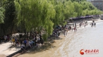 骄阳似火！黄河风情线成兰州市民游客的避暑首选之地（图） - 中国甘肃网