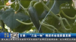 甘肃：“三品一标”推进农业高质量发展 - 甘肃省广播电影电视