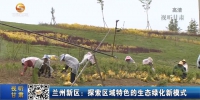 兰州新区：探索区域特色的生态绿化新模式 - 甘肃省广播电影电视
