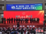 8月22日至24日，“第二届中国(甘肃·民乐)中医药产业博览会”在甘肃张掖市民乐县举办。图为开幕式现场。　闫姣 摄 - 甘肃新闻