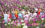 白银市白银区“最美金花”复赛在大坪农业园举行 - 甘肃新闻
