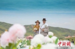 图为新人在草原举行婚礼。　崔琳 摄 - 甘肃新闻