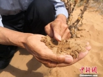 武威“与沙抗争”生态优先模式探索绿色多元化道路 - 甘肃新闻
