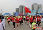 激情燃烧！凉州国际半程马拉松鸣枪开赛（图） - 中国甘肃网
