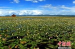 甘肃省环境保护条例修订通过 防治农村污染增“新规” - 甘肃新闻