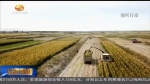 陇原大地丰收忙 机械作业效率高 - 甘肃省广播电影电视